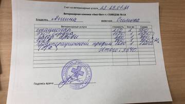 https://upforme.ru/uploads/000f/f6/ce/6/t624791.jpg
