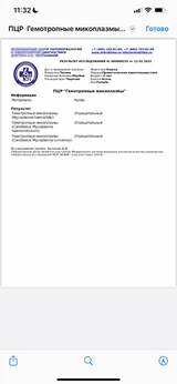 https://upforme.ru/uploads/000f/f6/ce/6/t635019.jpg