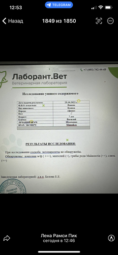 https://upforme.ru/uploads/000f/f6/ce/6/t648527.png