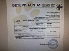 https://upforme.ru/uploads/000f/f6/ce/6/t657677.jpg