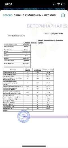 https://upforme.ru/uploads/000f/f6/ce/6/t667766.jpg