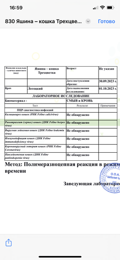 https://upforme.ru/uploads/000f/f6/ce/6/t672514.png