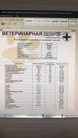 https://upforme.ru/uploads/000f/f6/ce/6/t684730.jpg