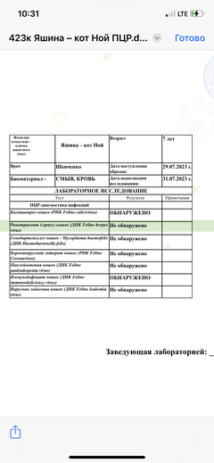 https://upforme.ru/uploads/000f/f6/ce/6/t688094.png