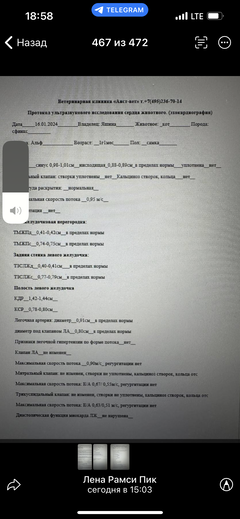 https://upforme.ru/uploads/000f/f6/ce/6/t697674.png