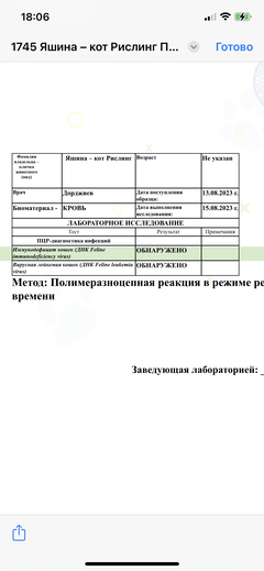 https://upforme.ru/uploads/000f/f6/ce/6/t740325.png