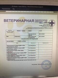 https://upforme.ru/uploads/000f/f6/ce/6/t754318.jpg