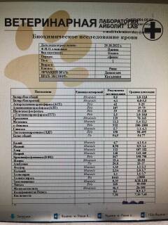 https://upforme.ru/uploads/000f/f6/ce/6/t765475.jpg