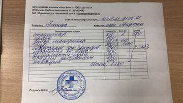 https://upforme.ru/uploads/000f/f6/ce/6/t785155.jpg