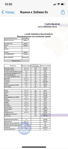 https://upforme.ru/uploads/000f/f6/ce/6/t816118.jpg