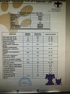 https://upforme.ru/uploads/000f/f6/ce/6/t826758.jpg