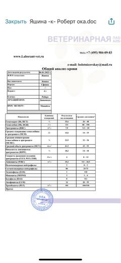 https://upforme.ru/uploads/000f/f6/ce/6/t838042.jpg