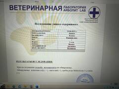 https://upforme.ru/uploads/000f/f6/ce/6/t843184.jpg