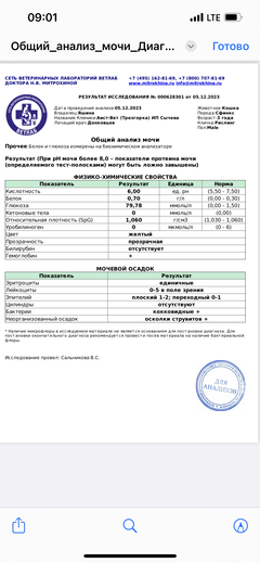 https://upforme.ru/uploads/000f/f6/ce/6/t858782.png