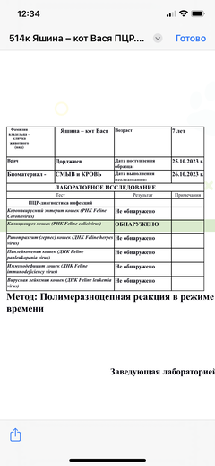 https://upforme.ru/uploads/000f/f6/ce/6/t862957.png