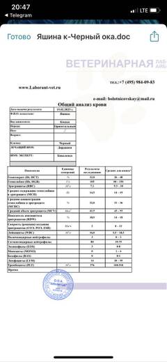 https://upforme.ru/uploads/000f/f6/ce/6/t873144.jpg