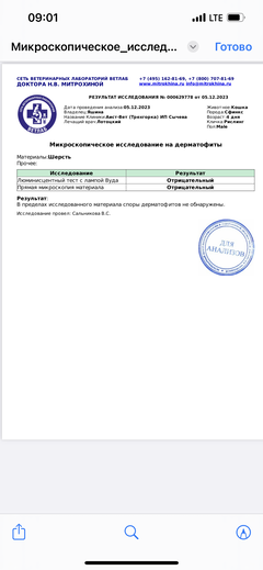 https://upforme.ru/uploads/000f/f6/ce/6/t87418.png