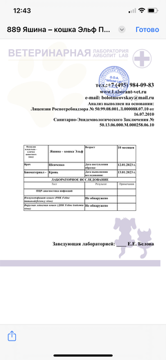 https://upforme.ru/uploads/000f/f6/ce/6/t878227.png