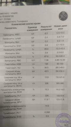 https://upforme.ru/uploads/000f/f6/ce/6/t881690.jpg