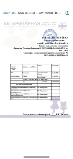 https://upforme.ru/uploads/000f/f6/ce/6/t891595.png