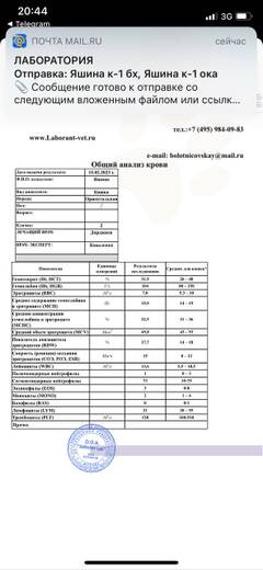 https://upforme.ru/uploads/000f/f6/ce/6/t908111.jpg
