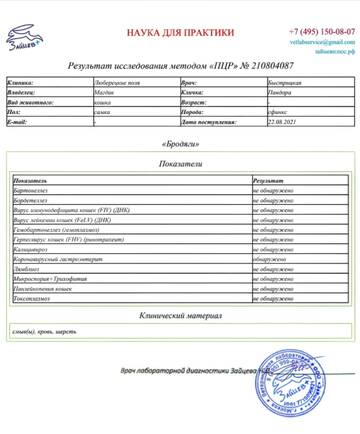 https://upforme.ru/uploads/000f/f6/ce/6/t916187.jpg