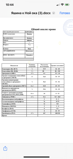 https://upforme.ru/uploads/000f/f6/ce/6/t920194.png