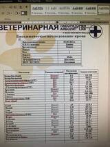 https://upforme.ru/uploads/000f/f6/ce/6/t925924.jpg