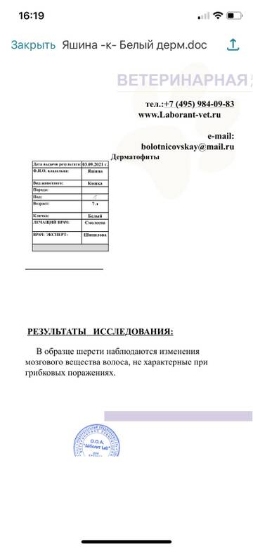 https://upforme.ru/uploads/000f/f6/ce/6/t926866.jpg