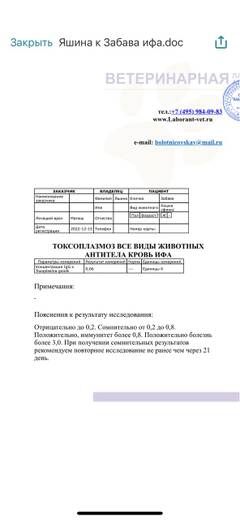 https://upforme.ru/uploads/000f/f6/ce/6/t935391.jpg