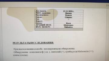 https://upforme.ru/uploads/000f/f6/ce/6/t94758.jpg