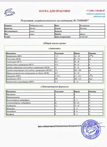 https://upforme.ru/uploads/000f/f6/ce/6/t956761.jpg