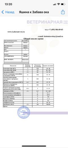 https://upforme.ru/uploads/000f/f6/ce/6/t982146.jpg
