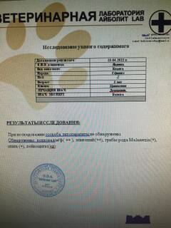 https://upforme.ru/uploads/000f/f6/ce/6/t984092.jpg