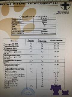 https://upforme.ru/uploads/000f/f6/ce/6/t986330.jpg