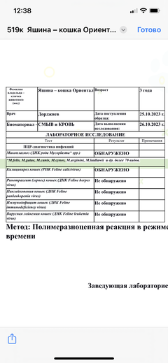 https://upforme.ru/uploads/000f/f6/ce/6/t993288.png