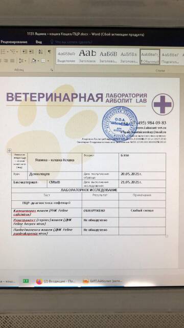 https://upforme.ru/uploads/000f/f6/ce/6/t999728.jpg