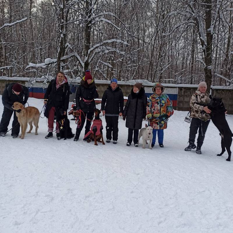 https://upforme.ru/uploads/0010/0a/de/3/361506.jpg