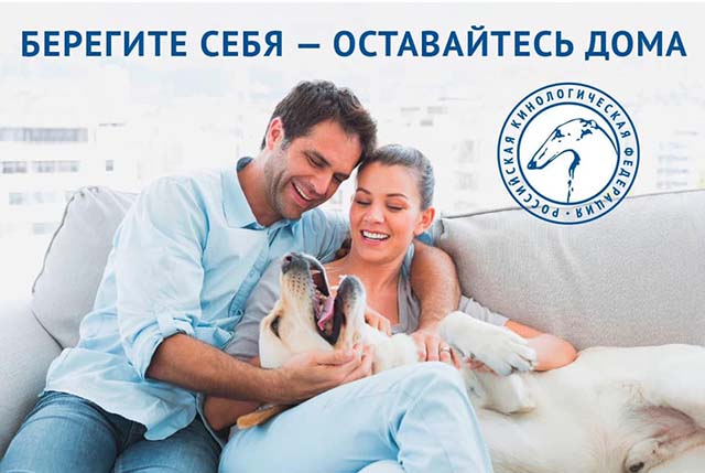 https://upforme.ru/uploads/0010/0a/de/3/49395.jpg