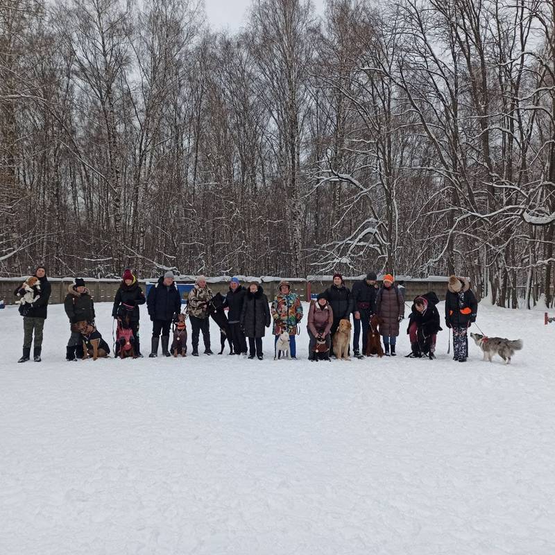 https://upforme.ru/uploads/0010/0a/de/3/636847.jpg