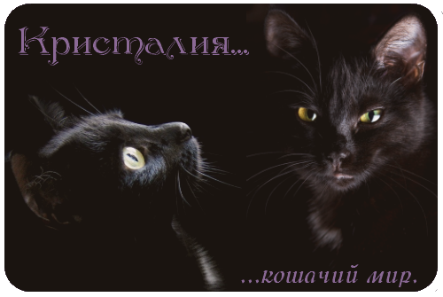 https://upforme.ru/uploads/0010/19/13/119-1-f.png