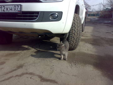 https://upforme.ru/uploads/0010/52/00/8/t45869.jpg