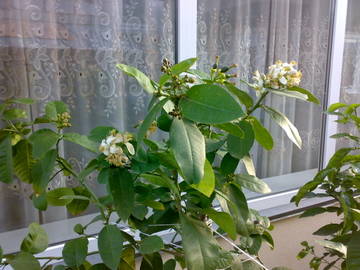 https://upforme.ru/uploads/0010/52/00/8/t895540.jpg