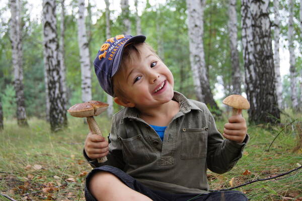 https://upforme.ru/uploads/0010/54/6f/1234/t60583.jpg