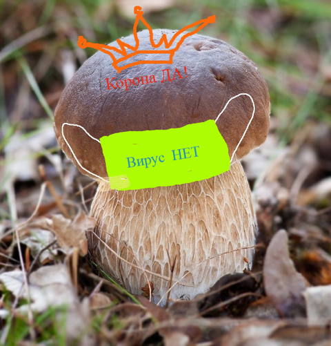 https://upforme.ru/uploads/0010/54/6f/1293/t657777.png