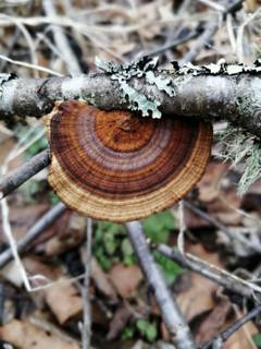 https://upforme.ru/uploads/0010/54/6f/1560/t36190.jpg