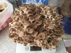 https://upforme.ru/uploads/0010/54/6f/1671/t56087.jpg