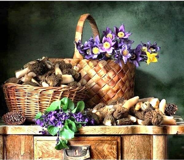https://upforme.ru/uploads/0010/54/6f/2/t18986.jpg