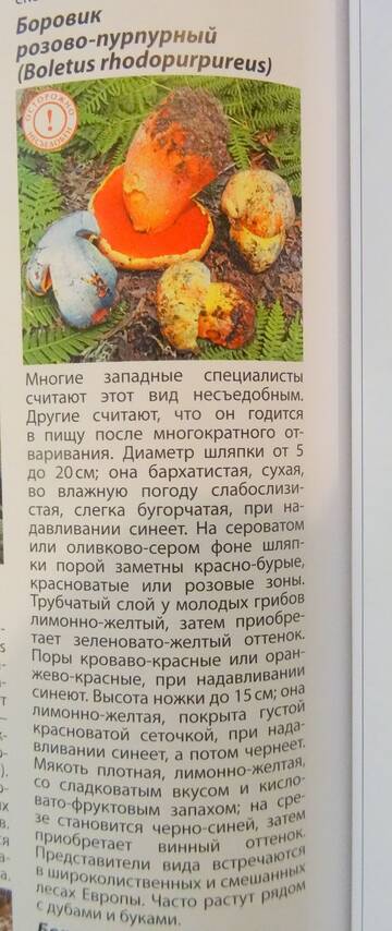 https://upforme.ru/uploads/0010/54/6f/2/t29404.jpg