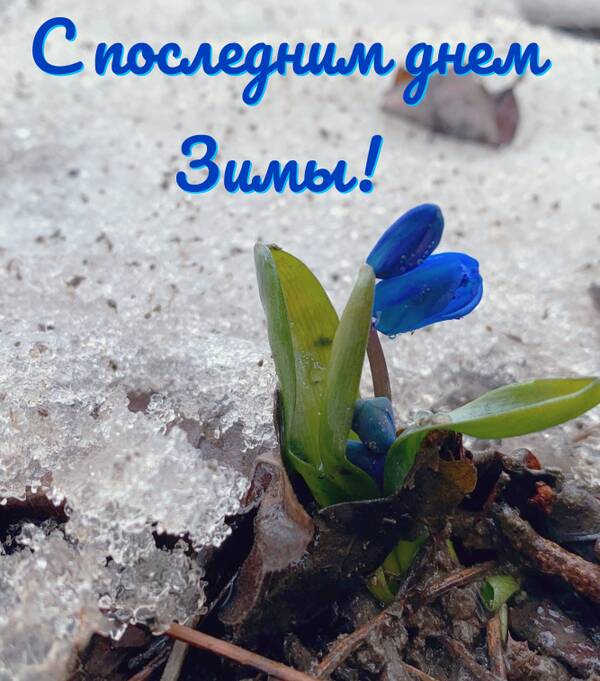 https://upforme.ru/uploads/0010/54/6f/2/t333282.jpg